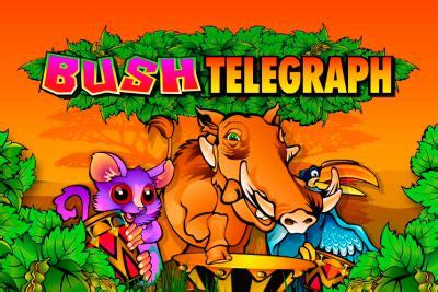 bush telegraph free